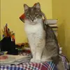 Отзыв от Яна Козловская